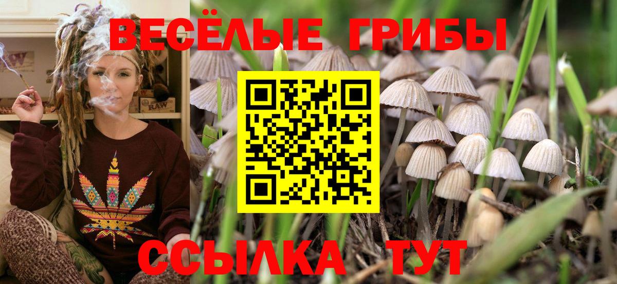 Спасск-Дальний  Галлюциногенные грибы GOLDEN TEACHER  Вход с VPN 
